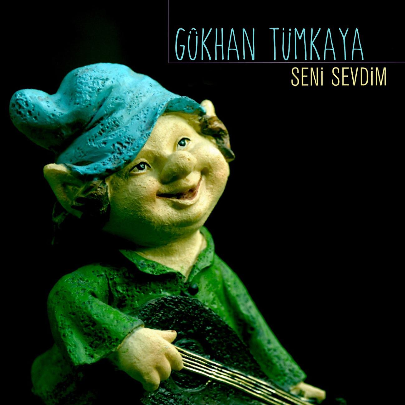 Постер альбома Seni Sevdim