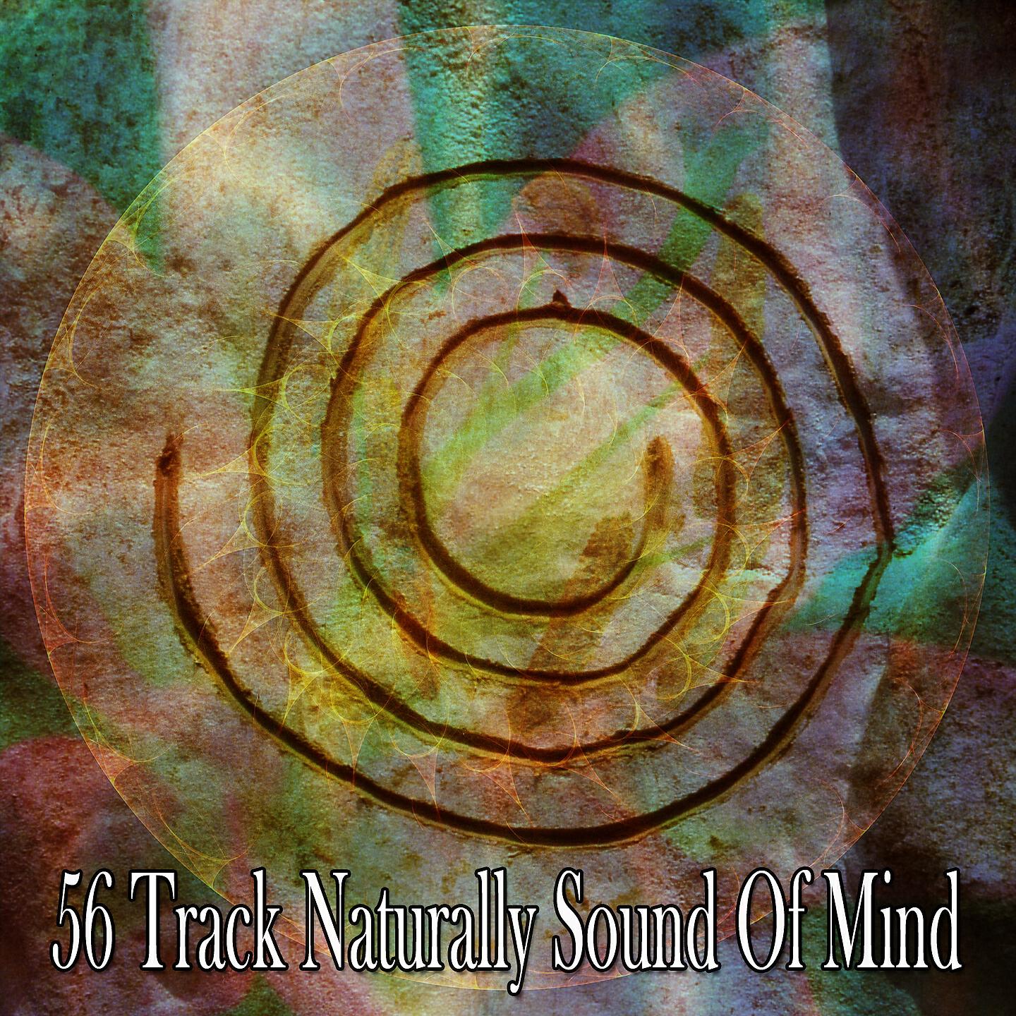Exam Study Classical Music Orchestra - Nourishing Yoga Impulse