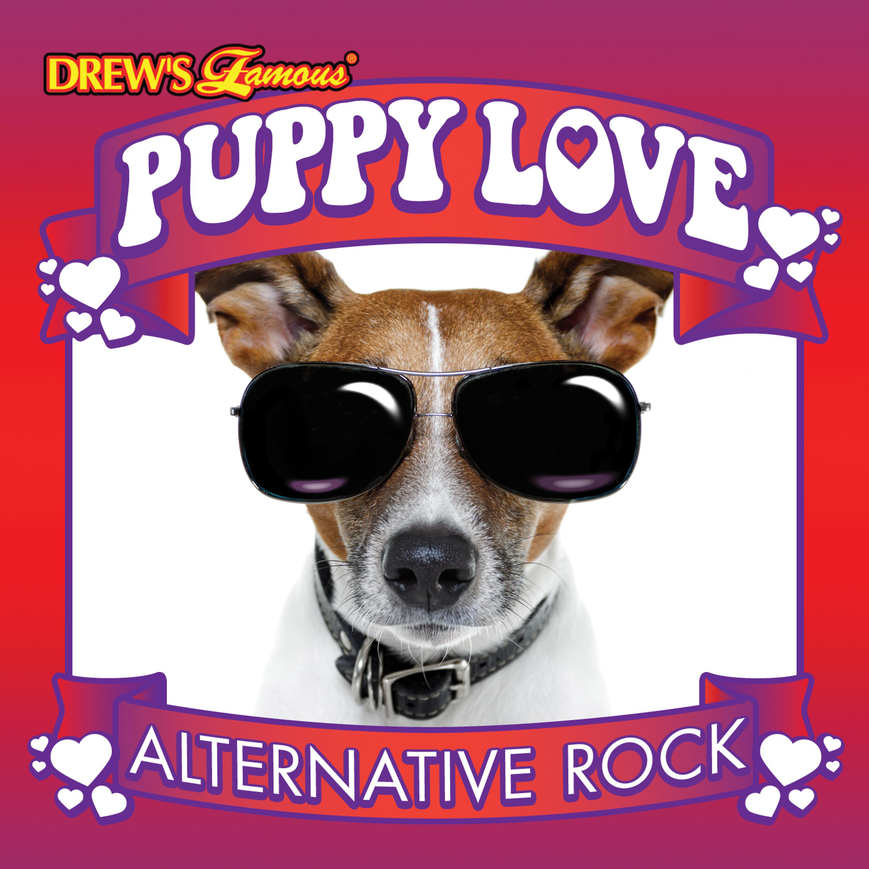 Постер альбома Puppy Love: Alternative Rock