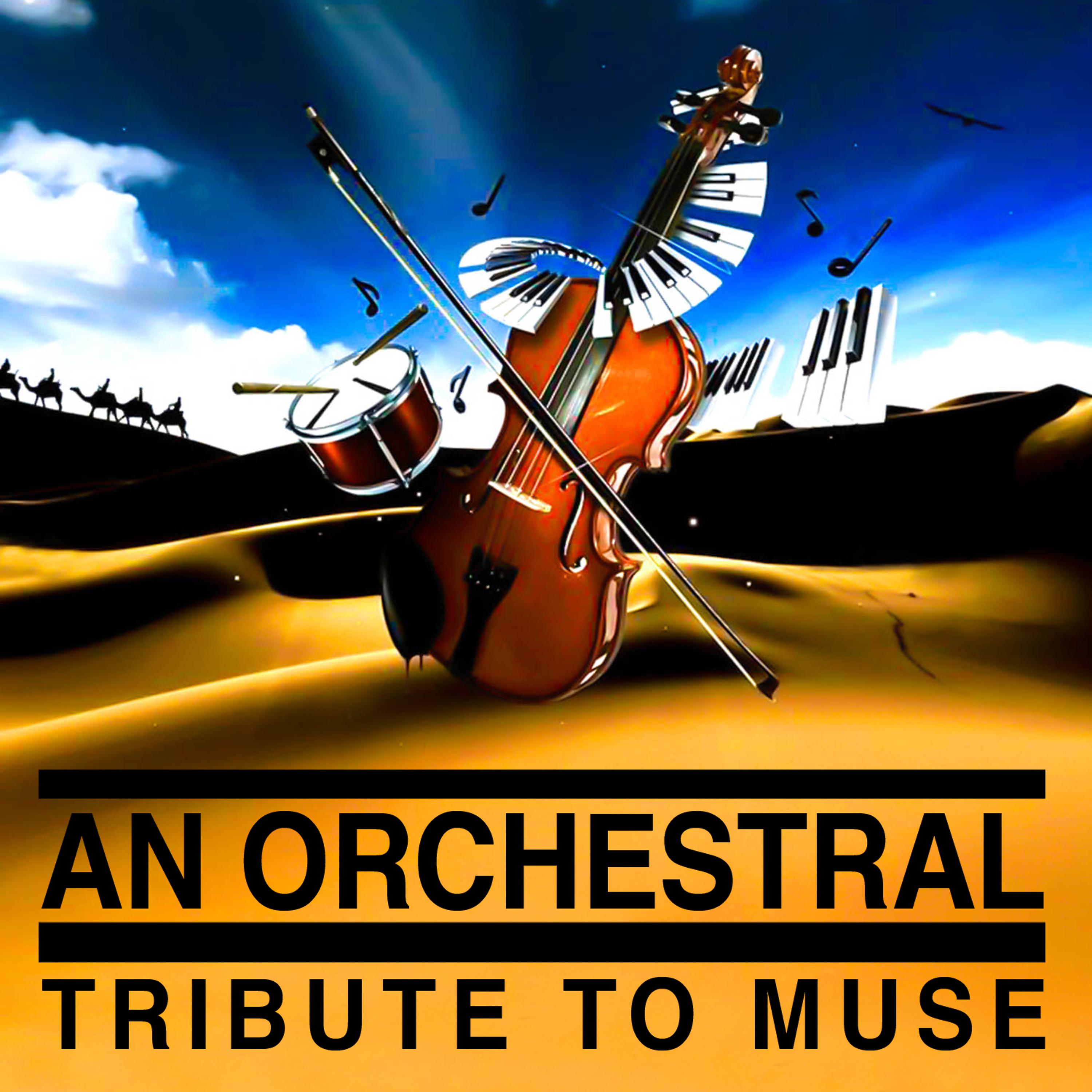 Постер альбома An Orchestral Tribute to Muse