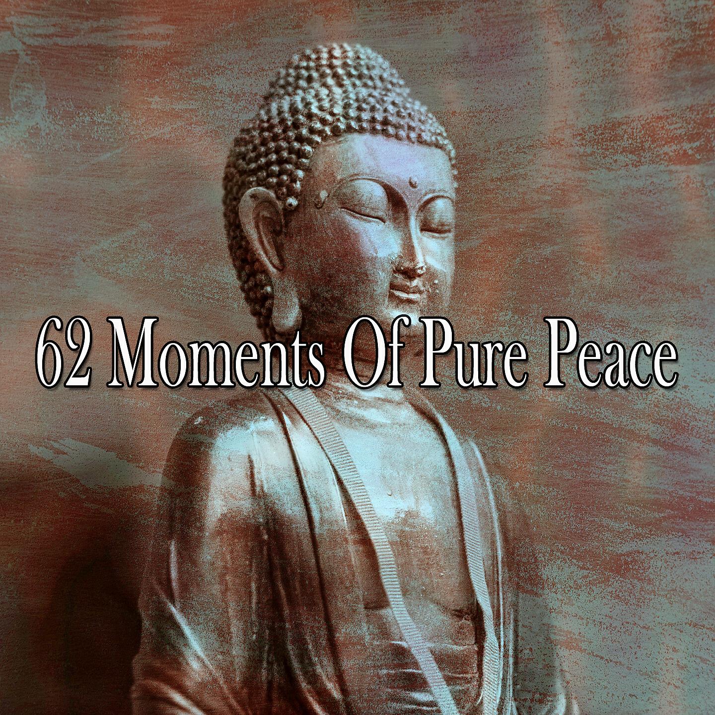 Meditation Zen Master - Reiki Miracle
