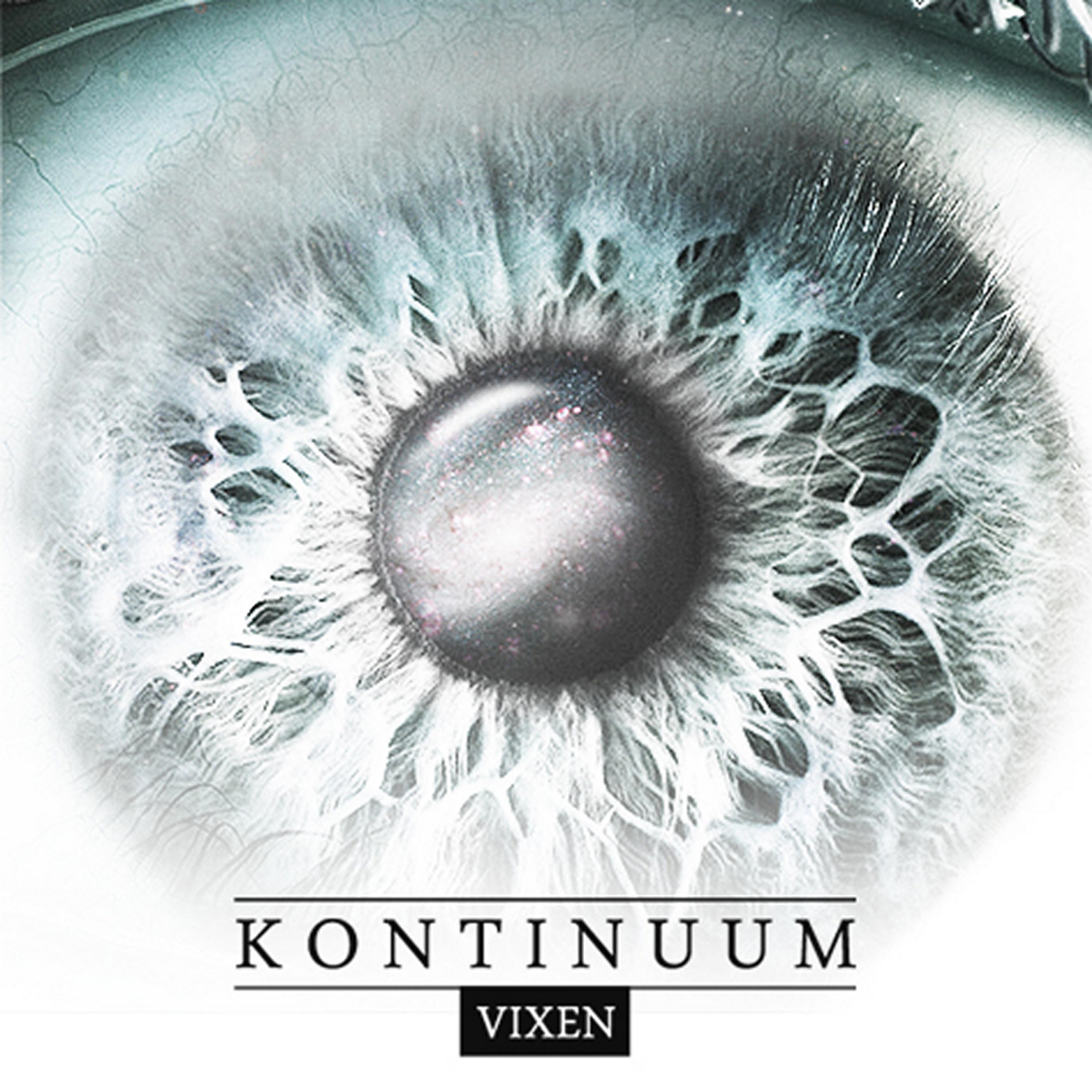 Постер альбома Kontinuum