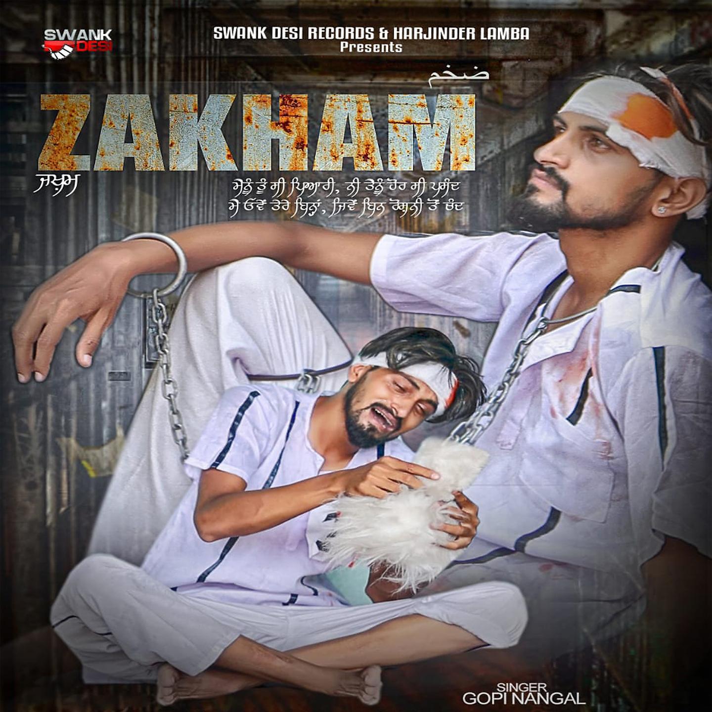Постер альбома Zakham