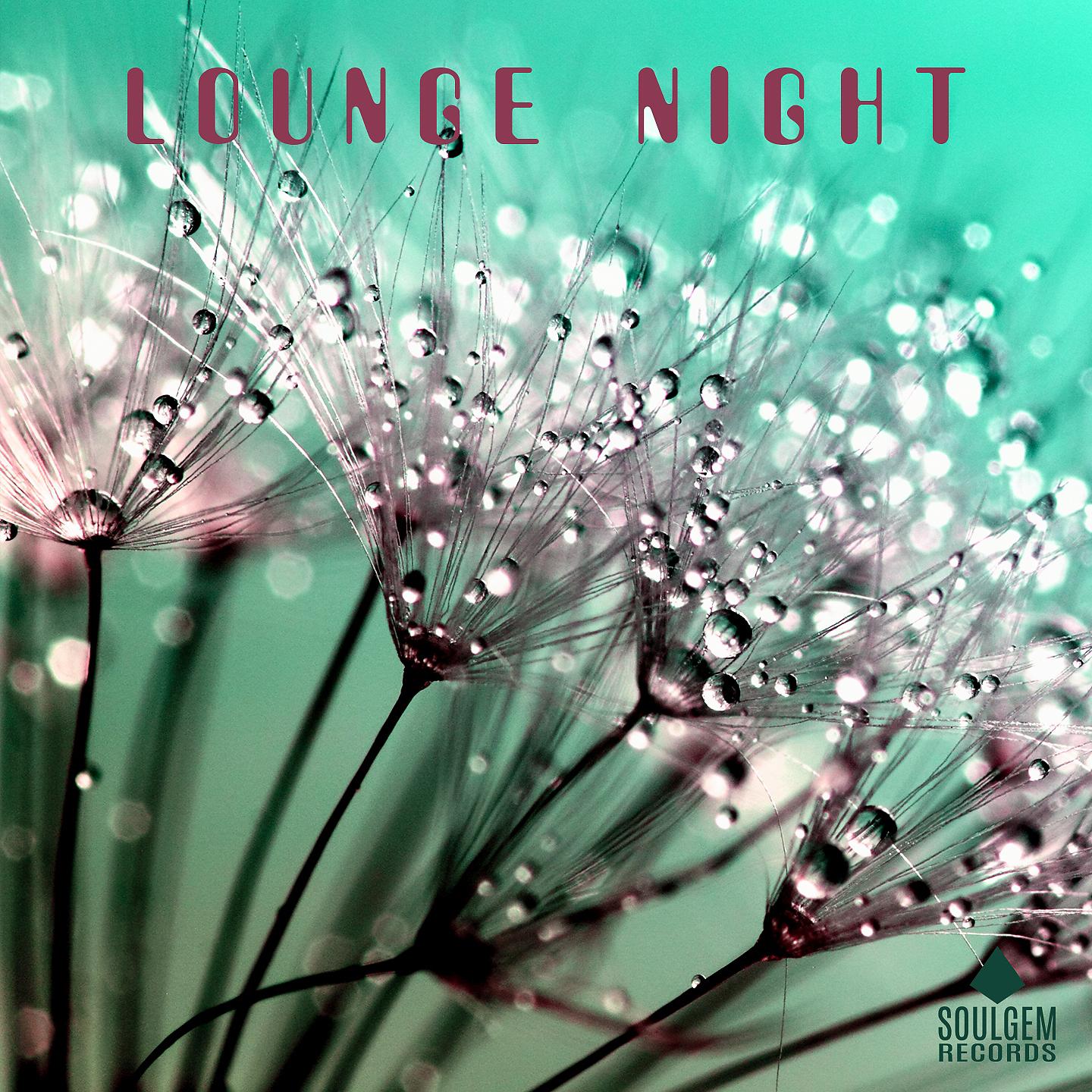 Постер альбома Lounge Night