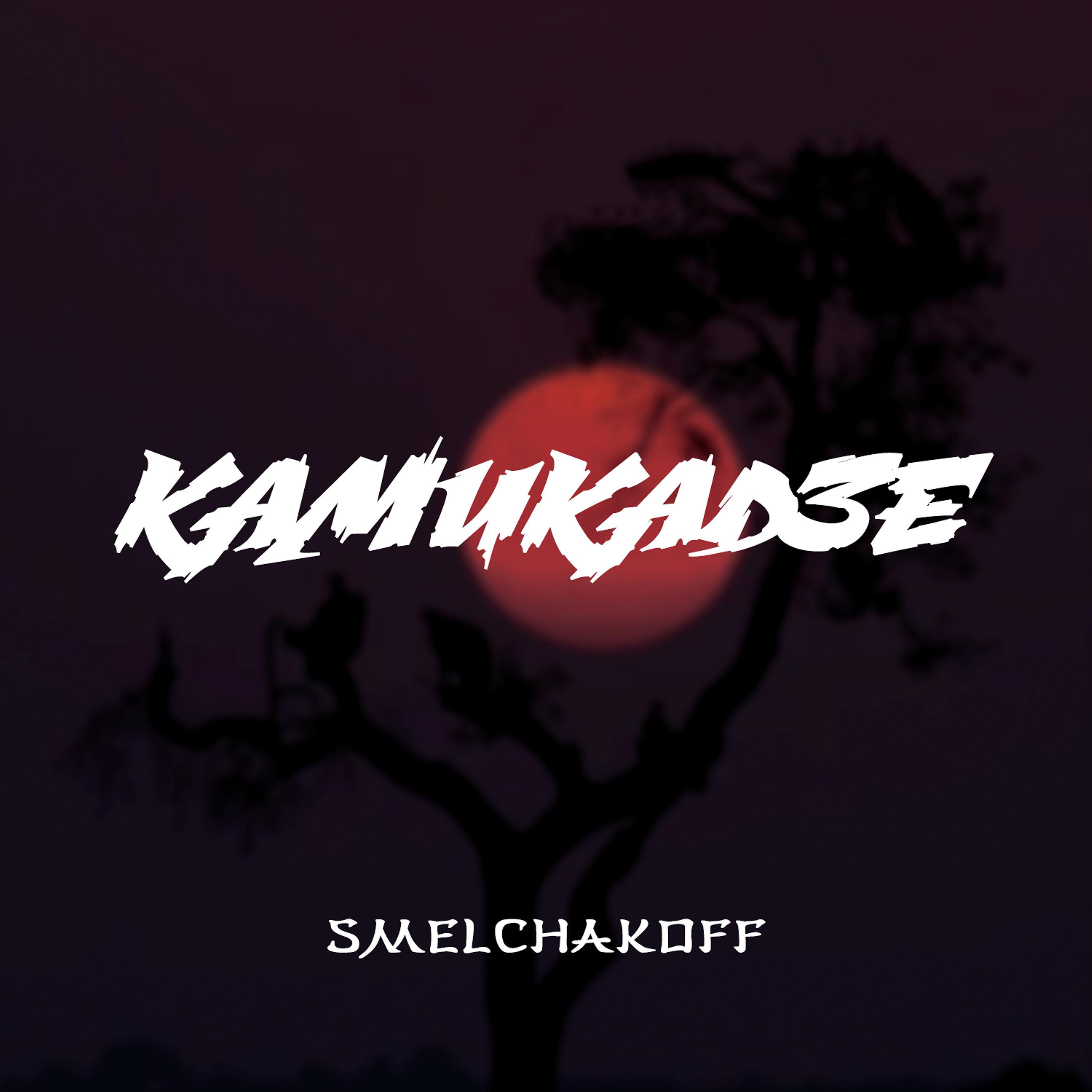 Постер альбома Камикадзе