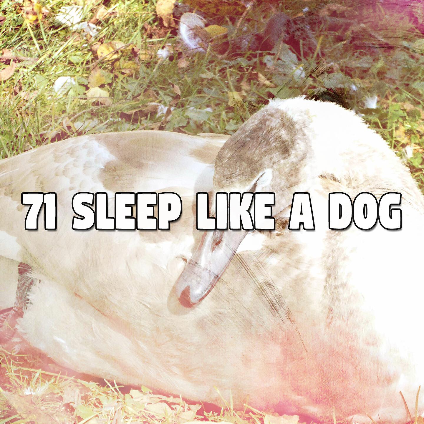 Baby Sweet Dream - Duvet Bliss