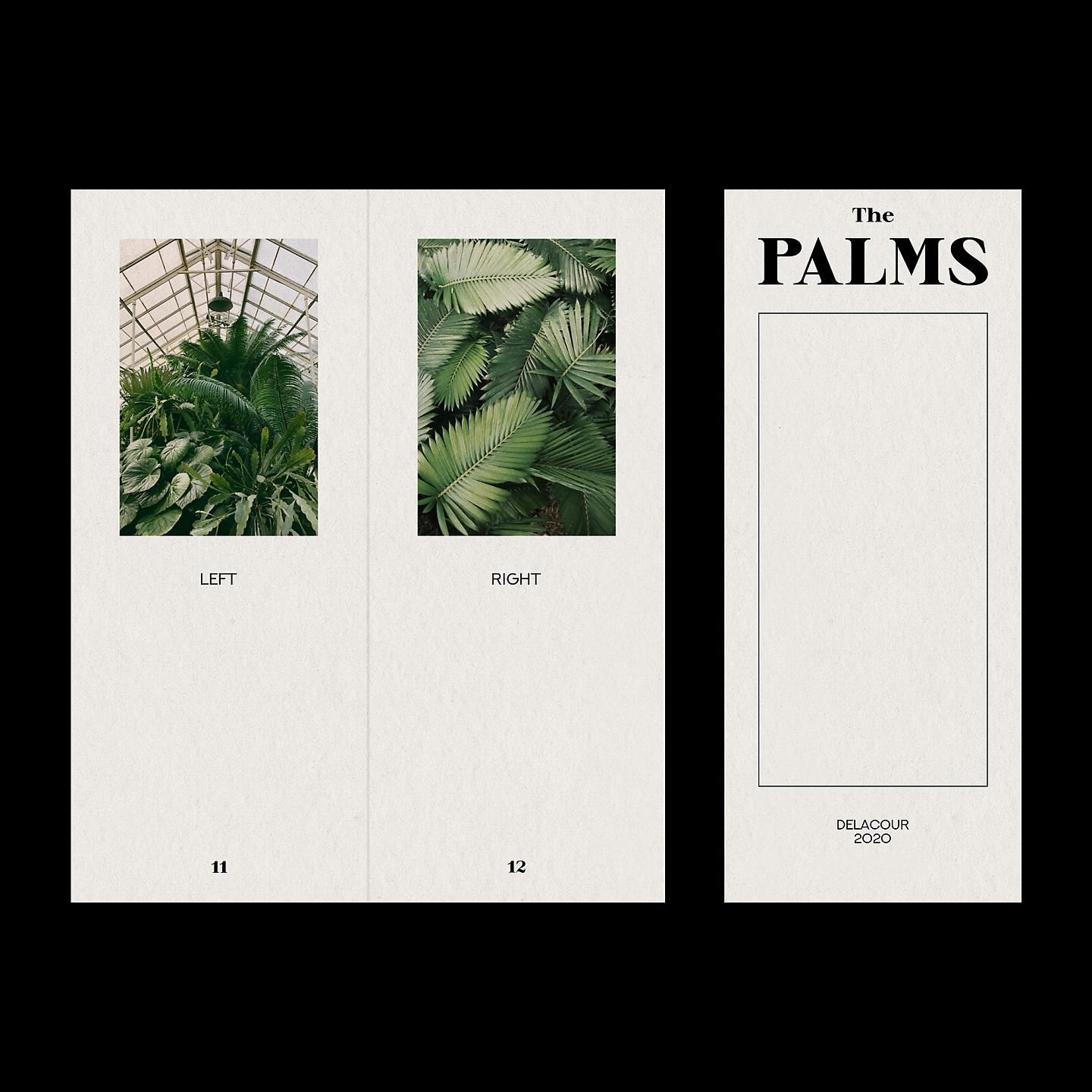 Постер альбома The Palms