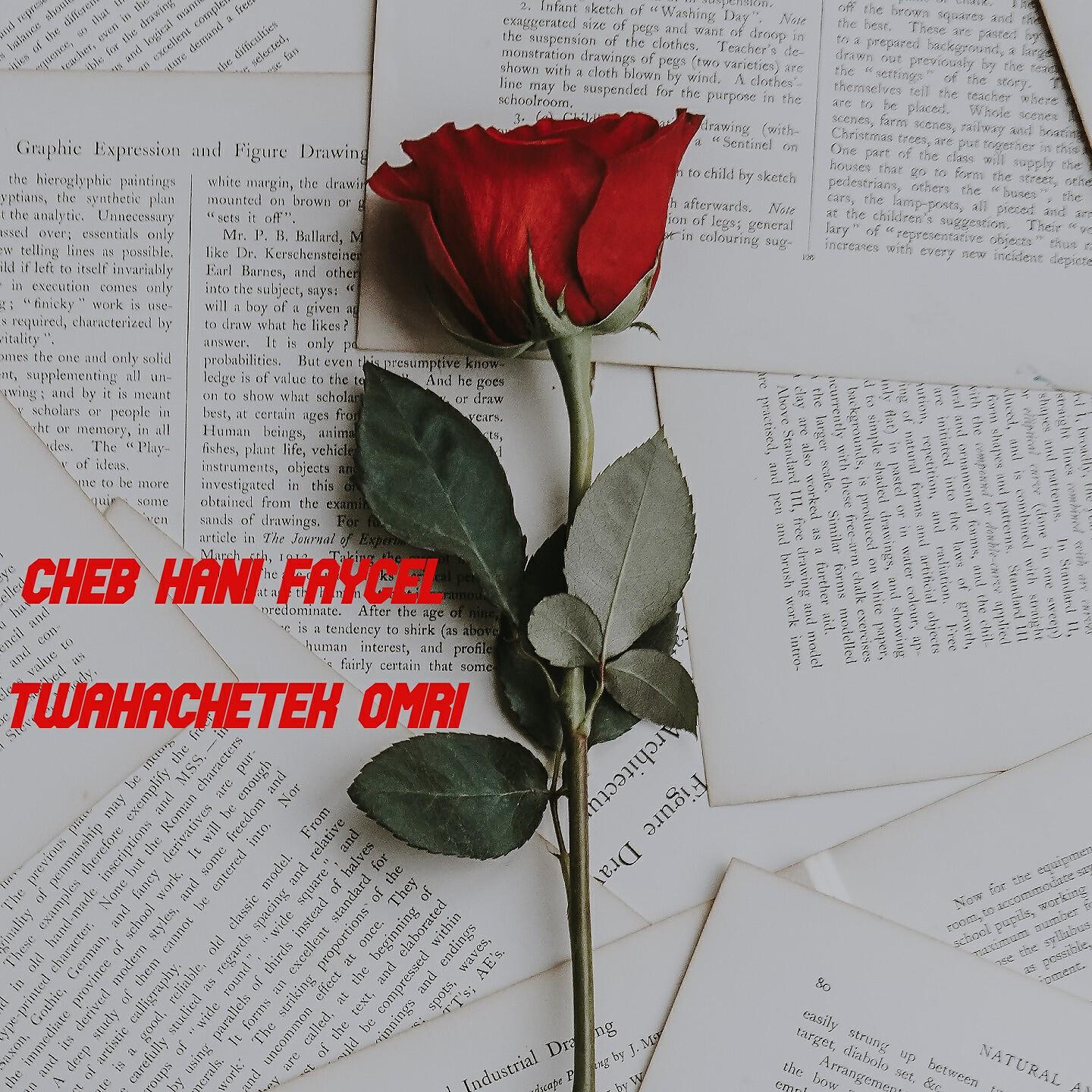 Cheb Hani Faycel - Twahachtak Omri