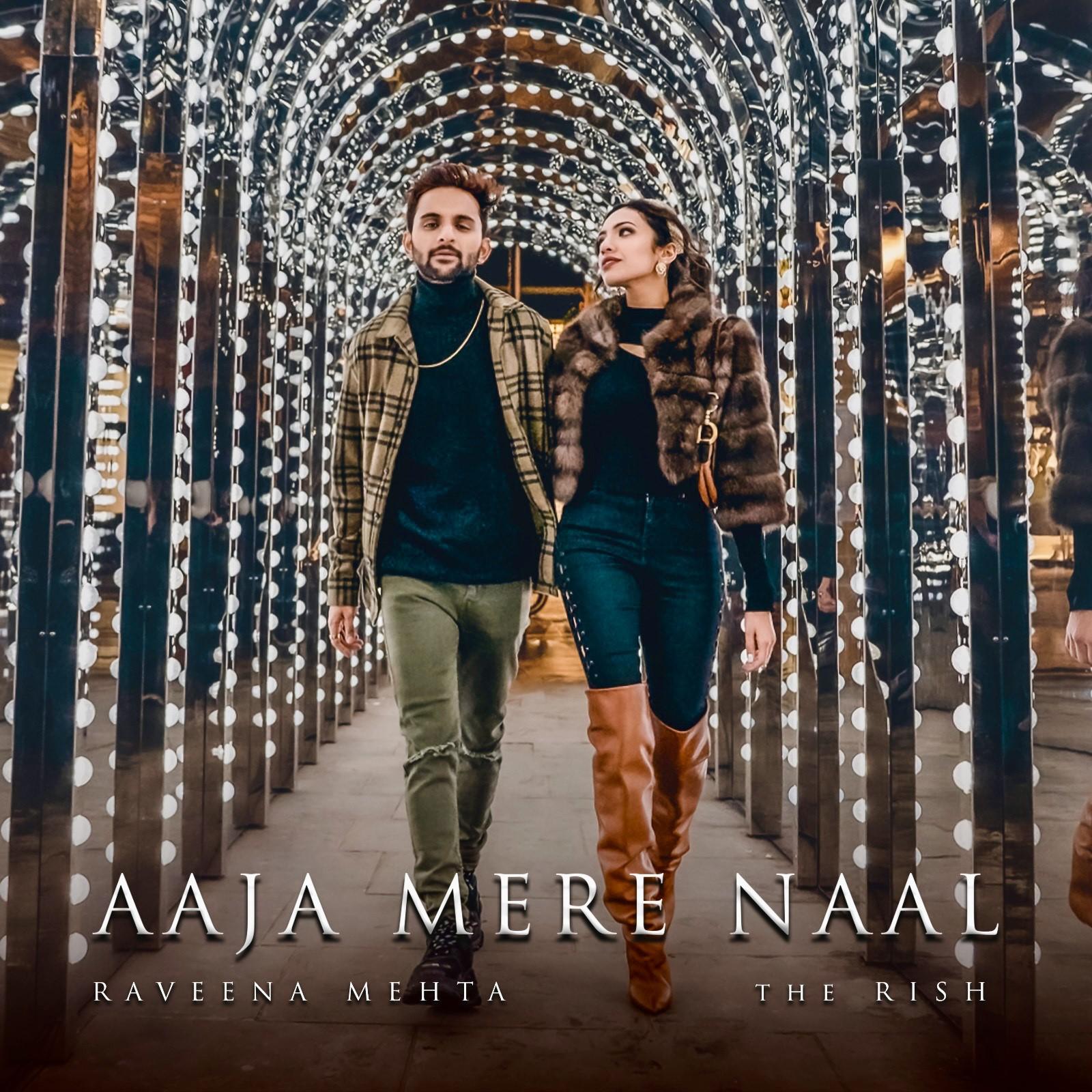 Постер альбома Aaja Mere Naal