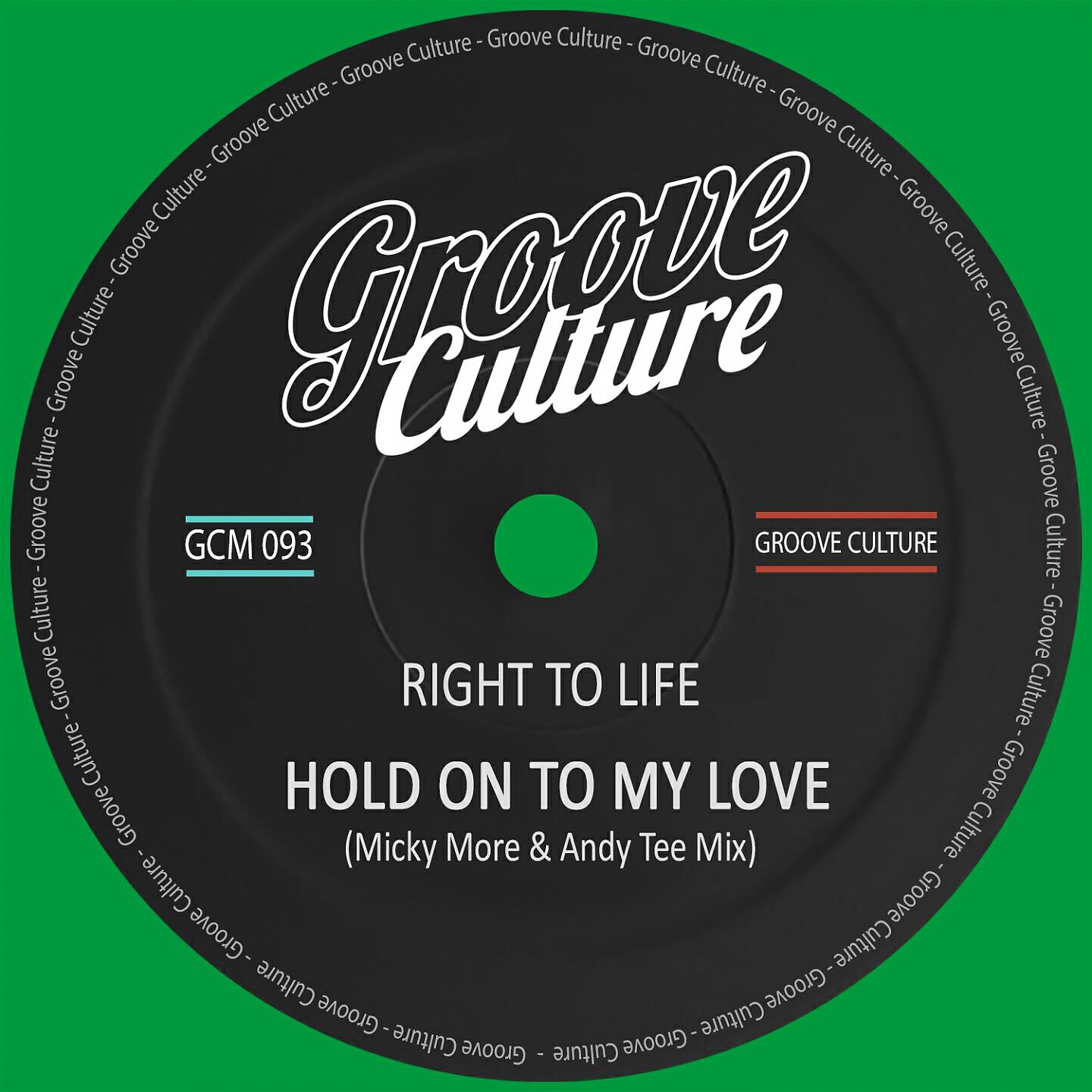 Right To Life - Hold On To My Love (Micky More & Andy Tee Mix)