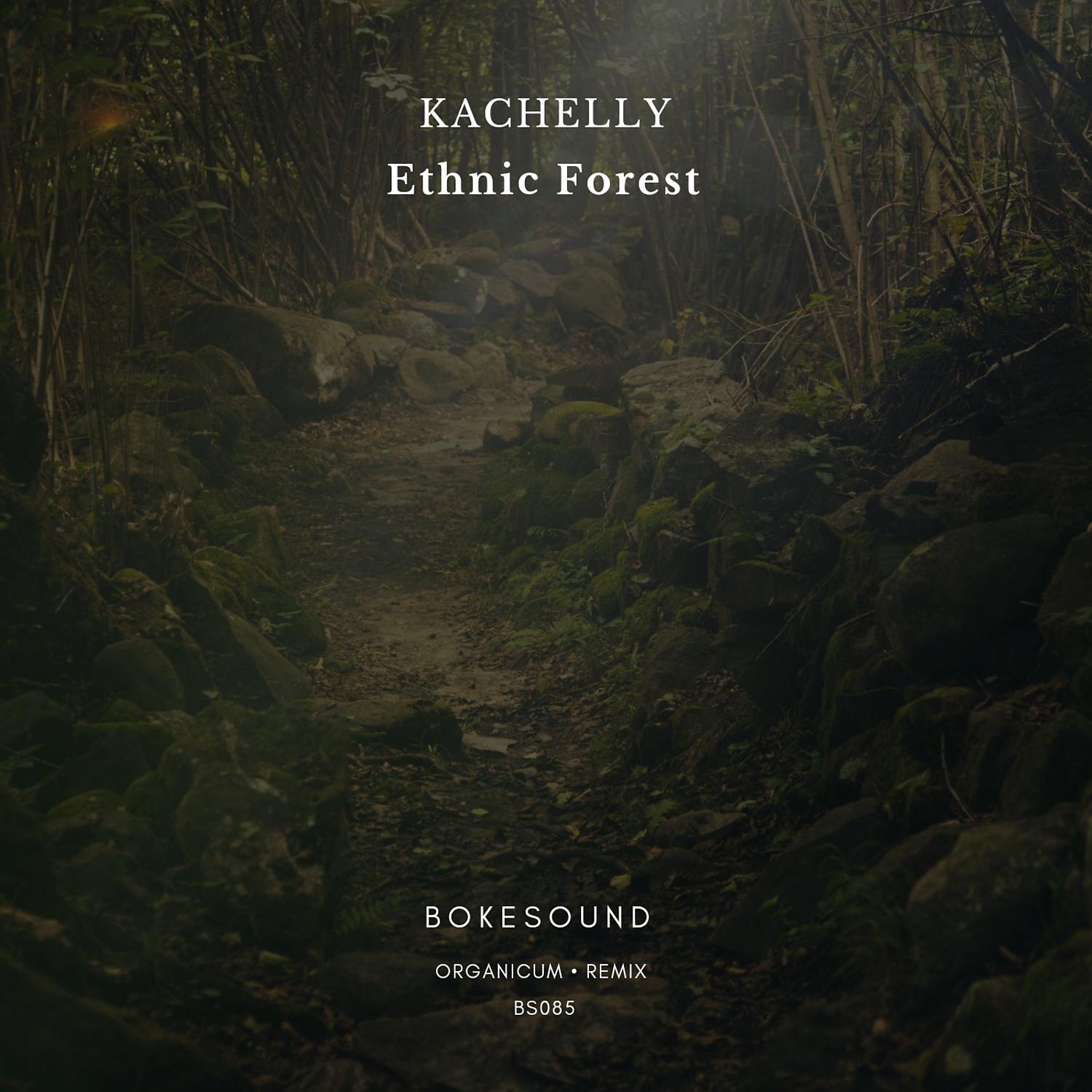 Постер альбома Ethnic Forest