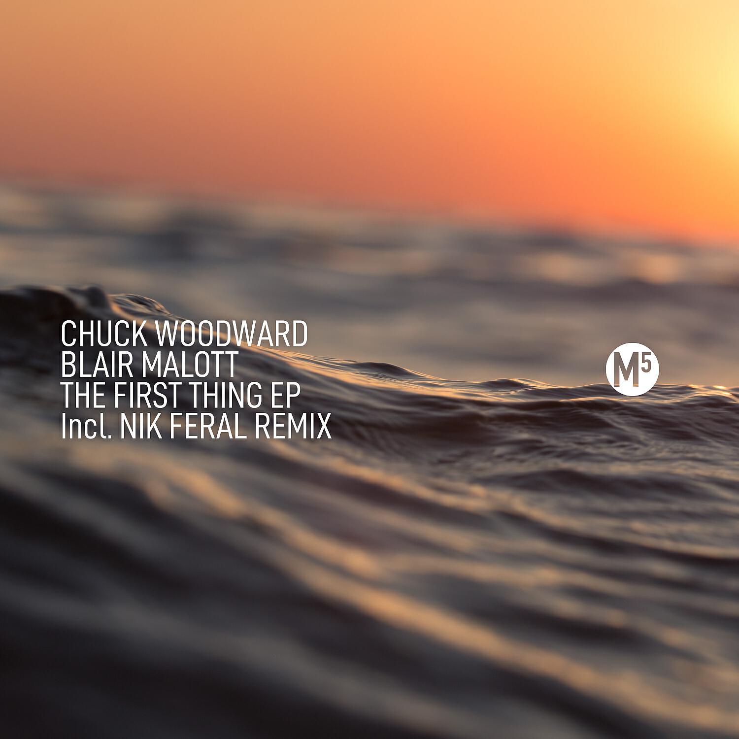 Chuck Woodward - The Bluffs (Original Mix)