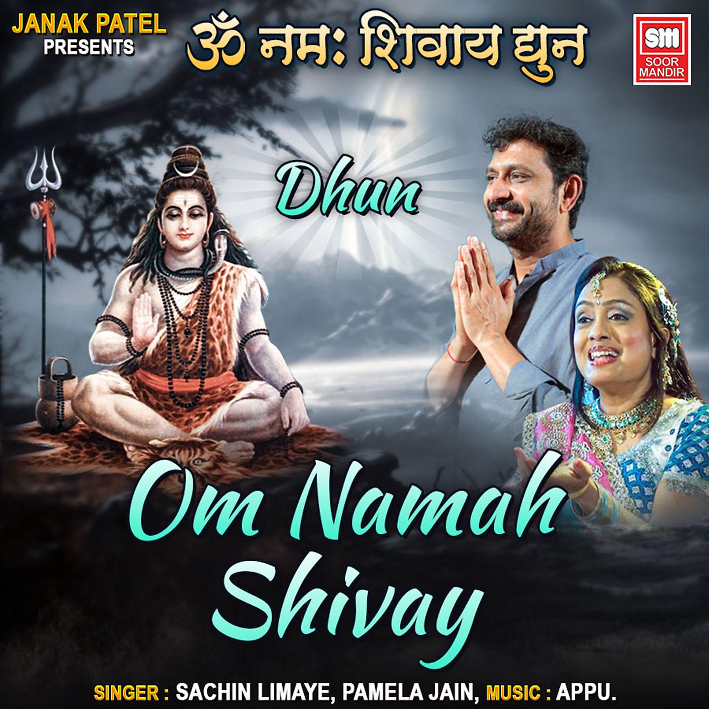 Постер альбома Om Namah Shivay Dhun