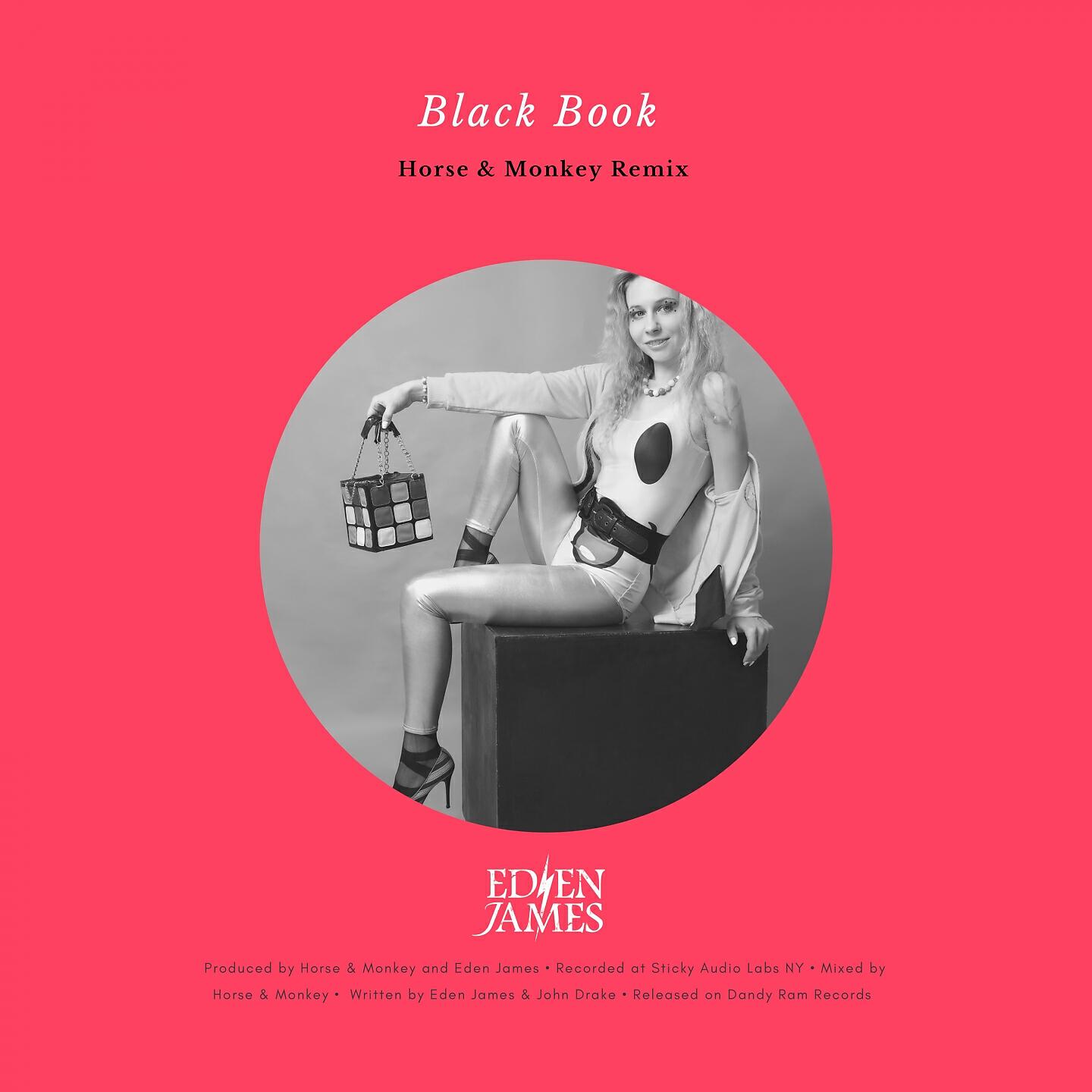 Eden James - Black Book (Horse & Monkey Remix Instrumental)