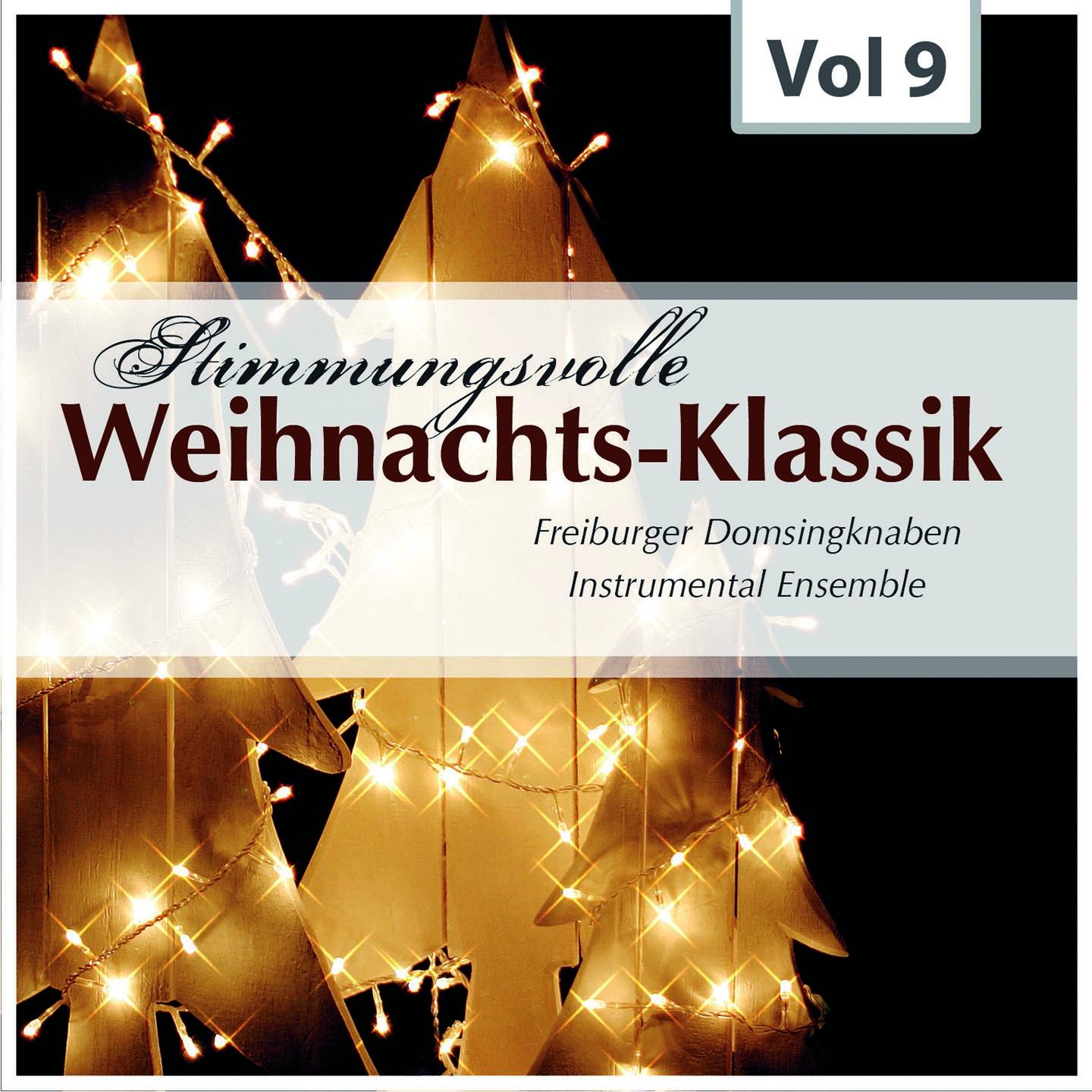 Постер альбома Stimmungsvolle Weihnachts-Klassik, Vol. 9