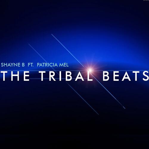 Shayne B - The Tribal Beats (Thiago Costa Remix)