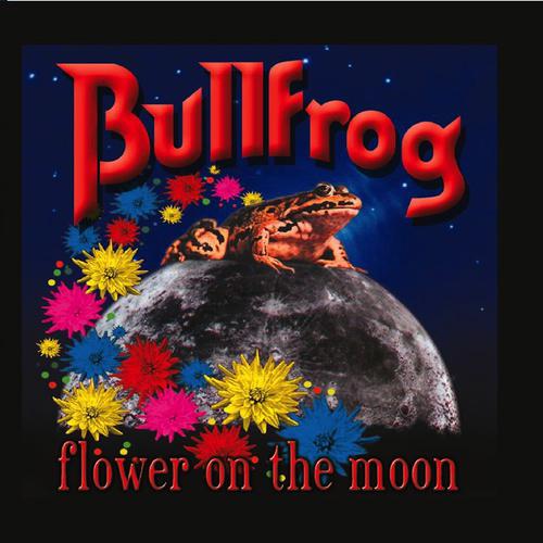 Постер альбома Flower On the Moon