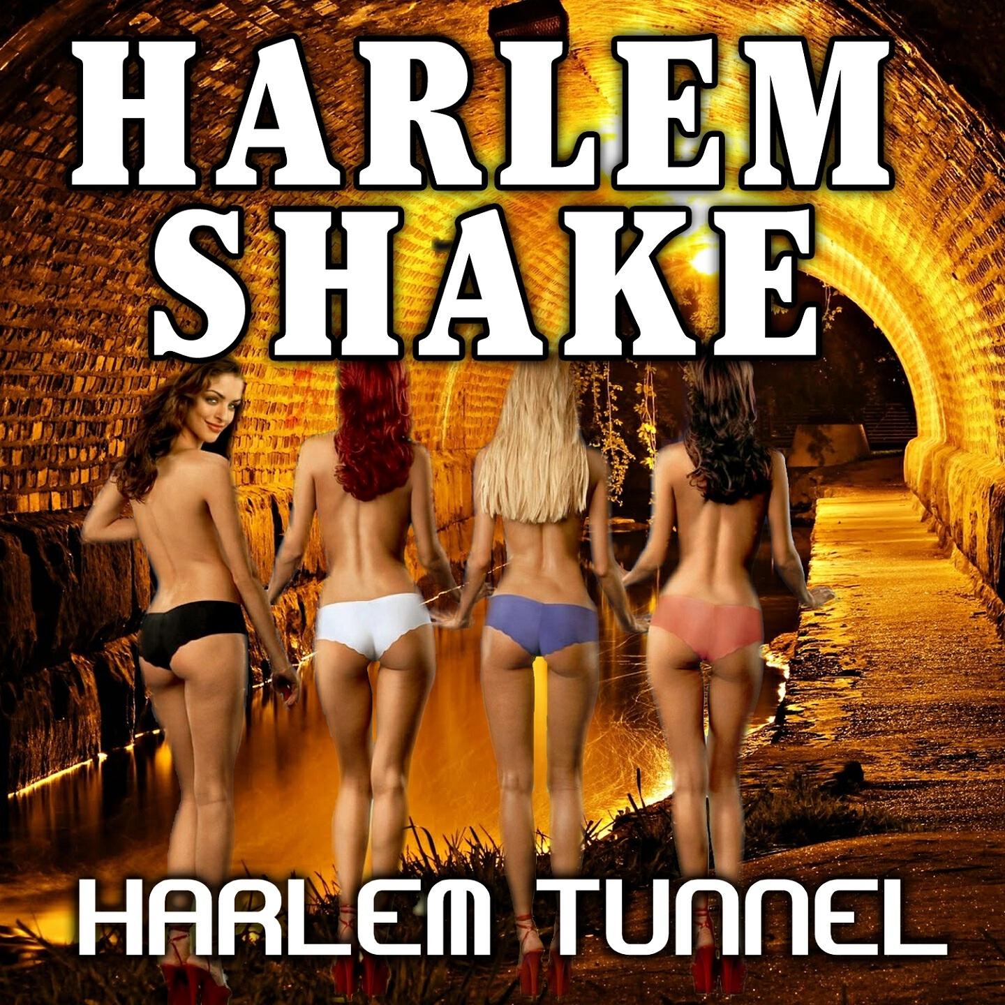 Harlem Tunnel - Harlem Shake (DJ Ivan Club Mix)