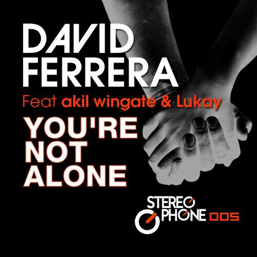 David Ferrera - You're Not Alone (Instrumental)