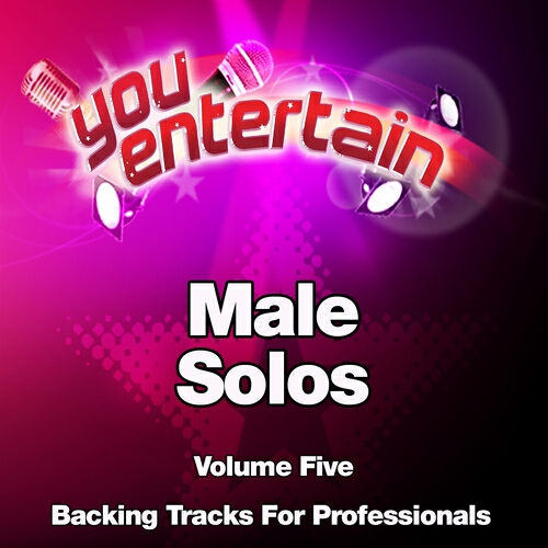 You Entertain - Right Here Waiting (Professional Backing Track) (In the Style of Richard Marx)