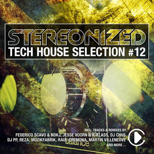 Постер альбома Stereonized - Tech House Selection, Vol. 12