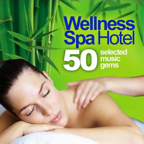 Постер альбома Wellness Spa Hotel