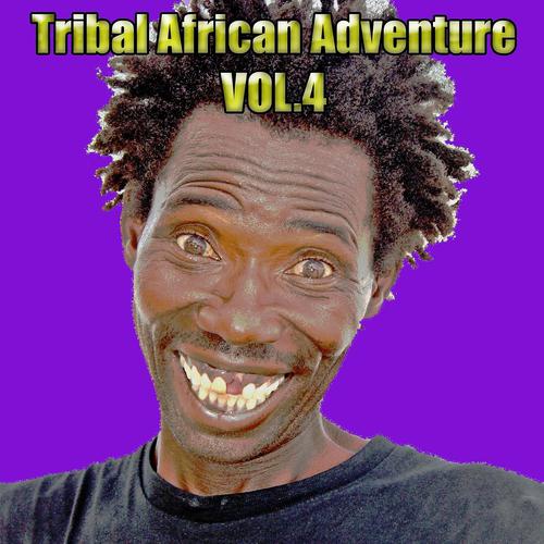 Постер альбома Tribal African Adventure, Vol. 4