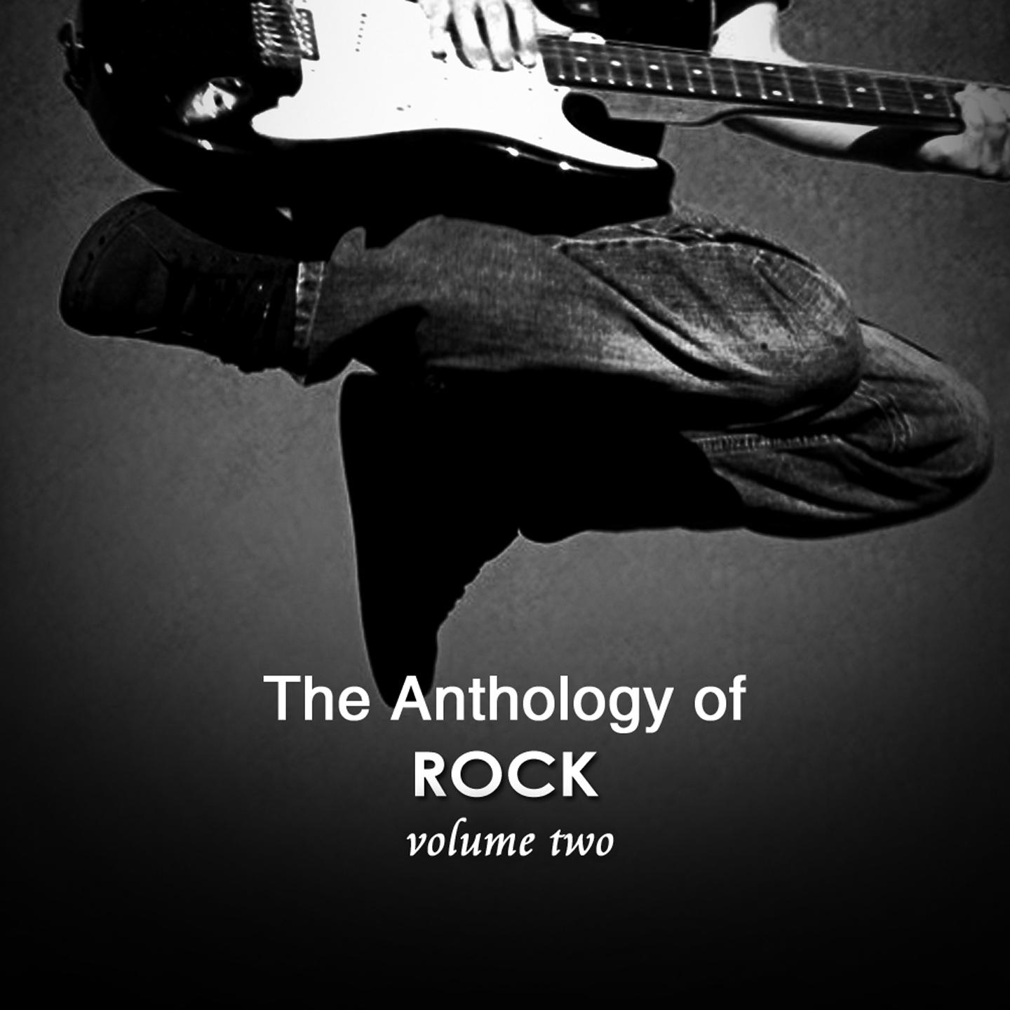 Постер альбома Anthology of Rock, Vol. 2