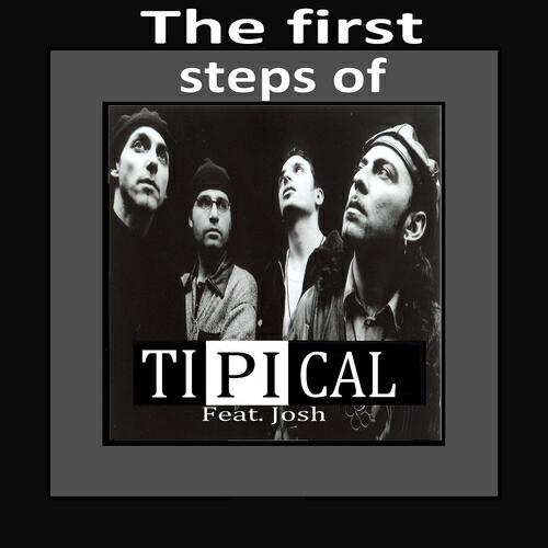 TI.PI.CAL. - I Would Like (Album Version)