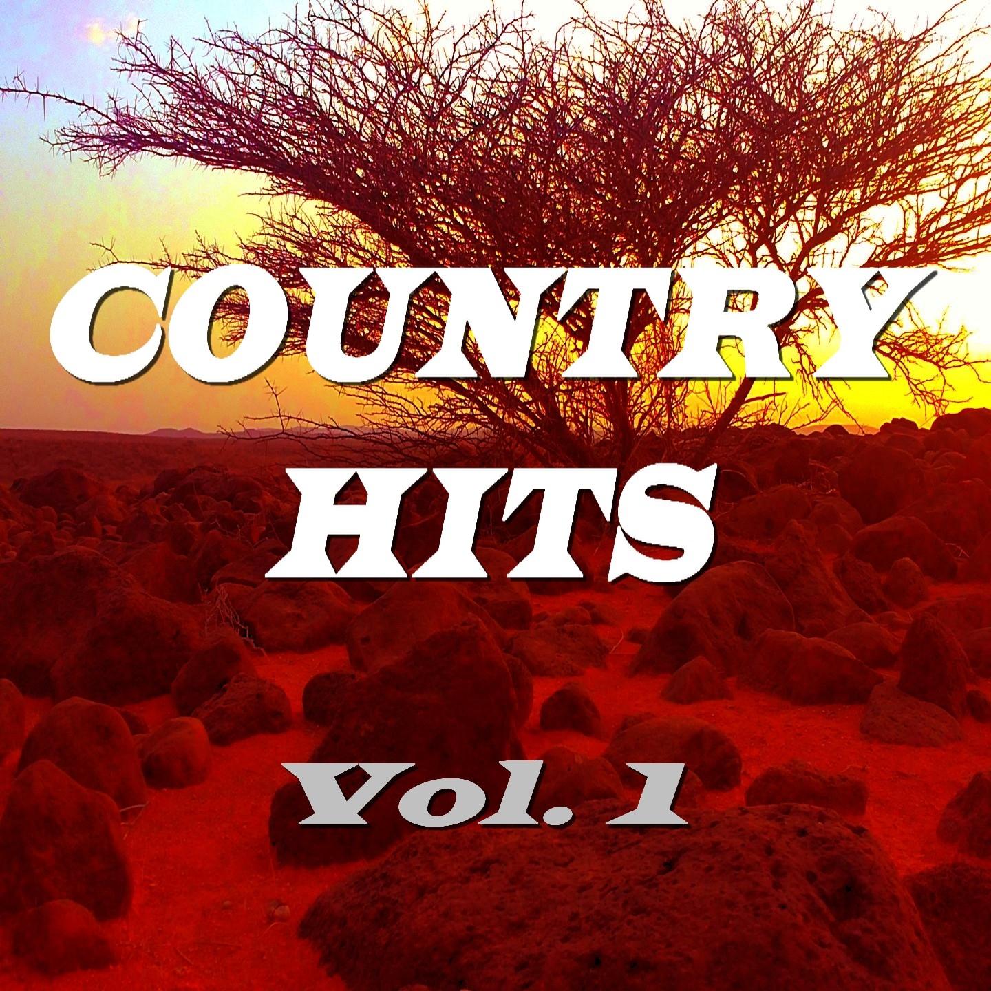 Постер альбома Country Hits, Vol. 1