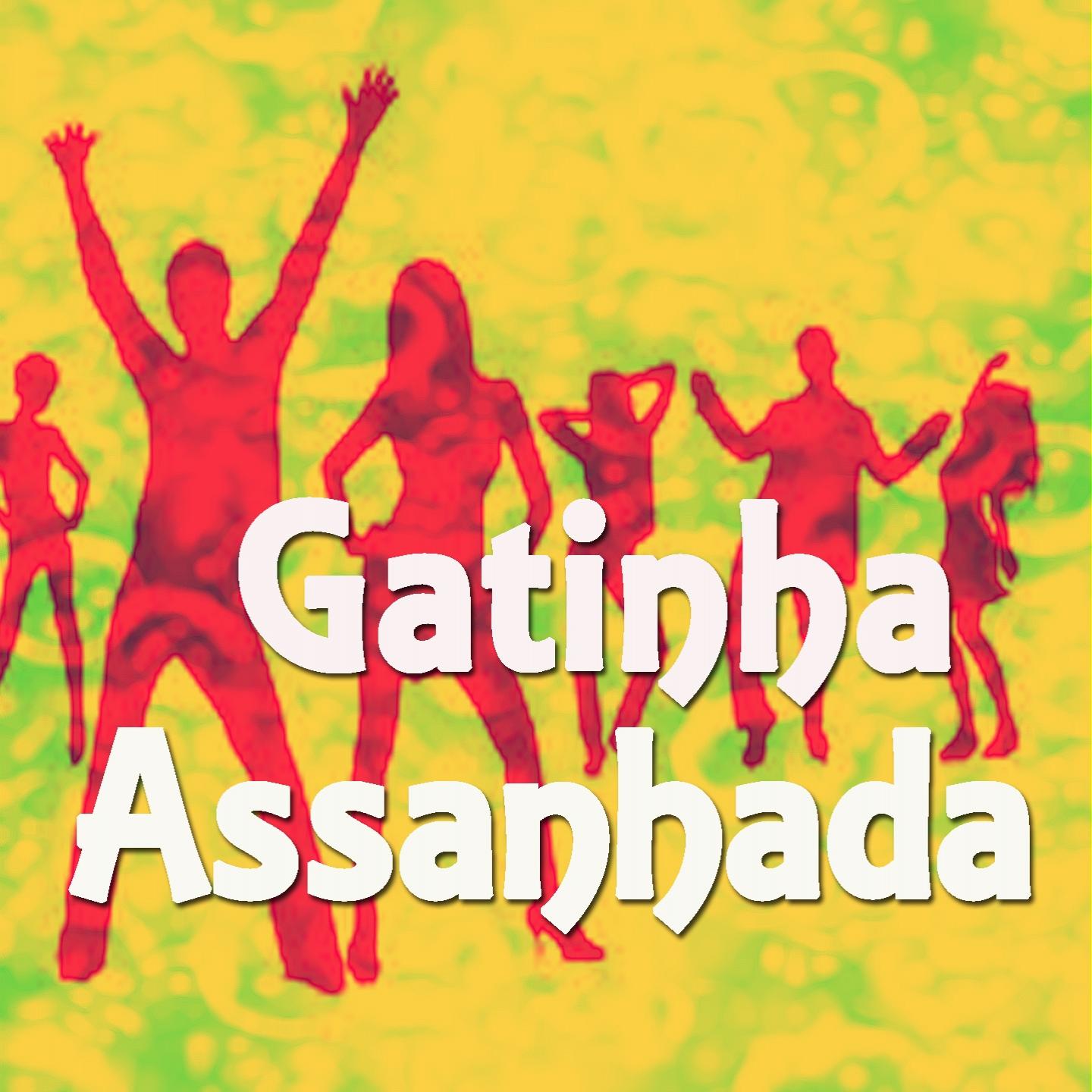Постер альбома Gatinha Assanhada