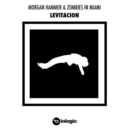 Morgan Hammer & Zombies in Miami - Introspection (Red Axes Remix)