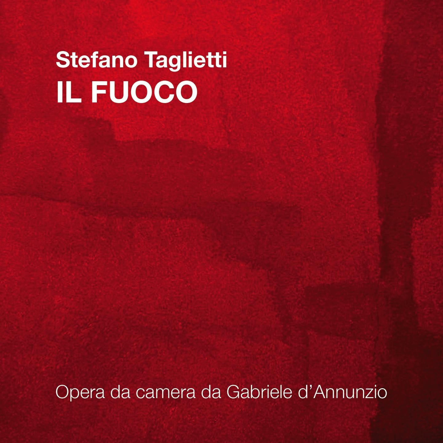 Постер альбома Stefano Taglietti: Il fuoco