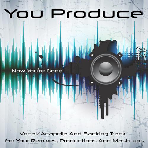 You Produce - Now You're Gone (Backing Track) (In the Style of Basshunter)