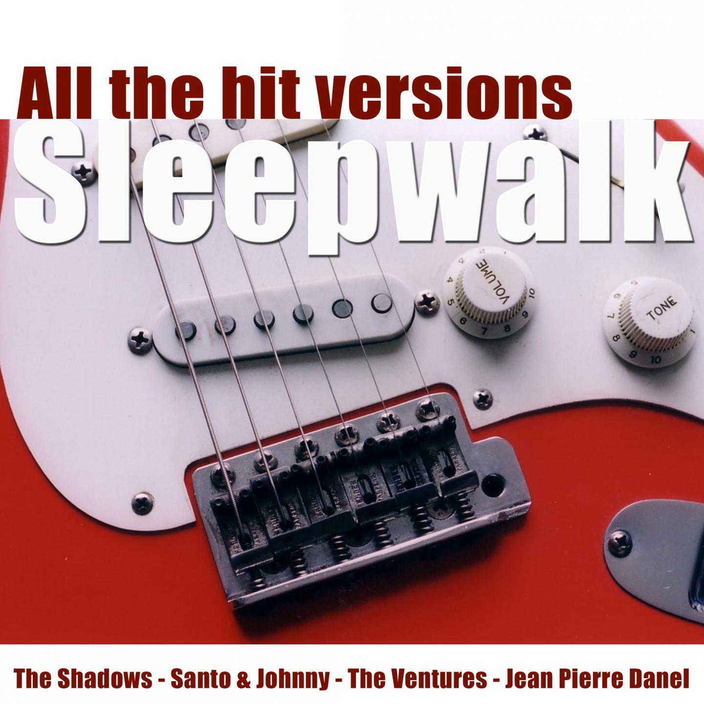 Постер альбома Sleepwalk (All the Hit Versions)