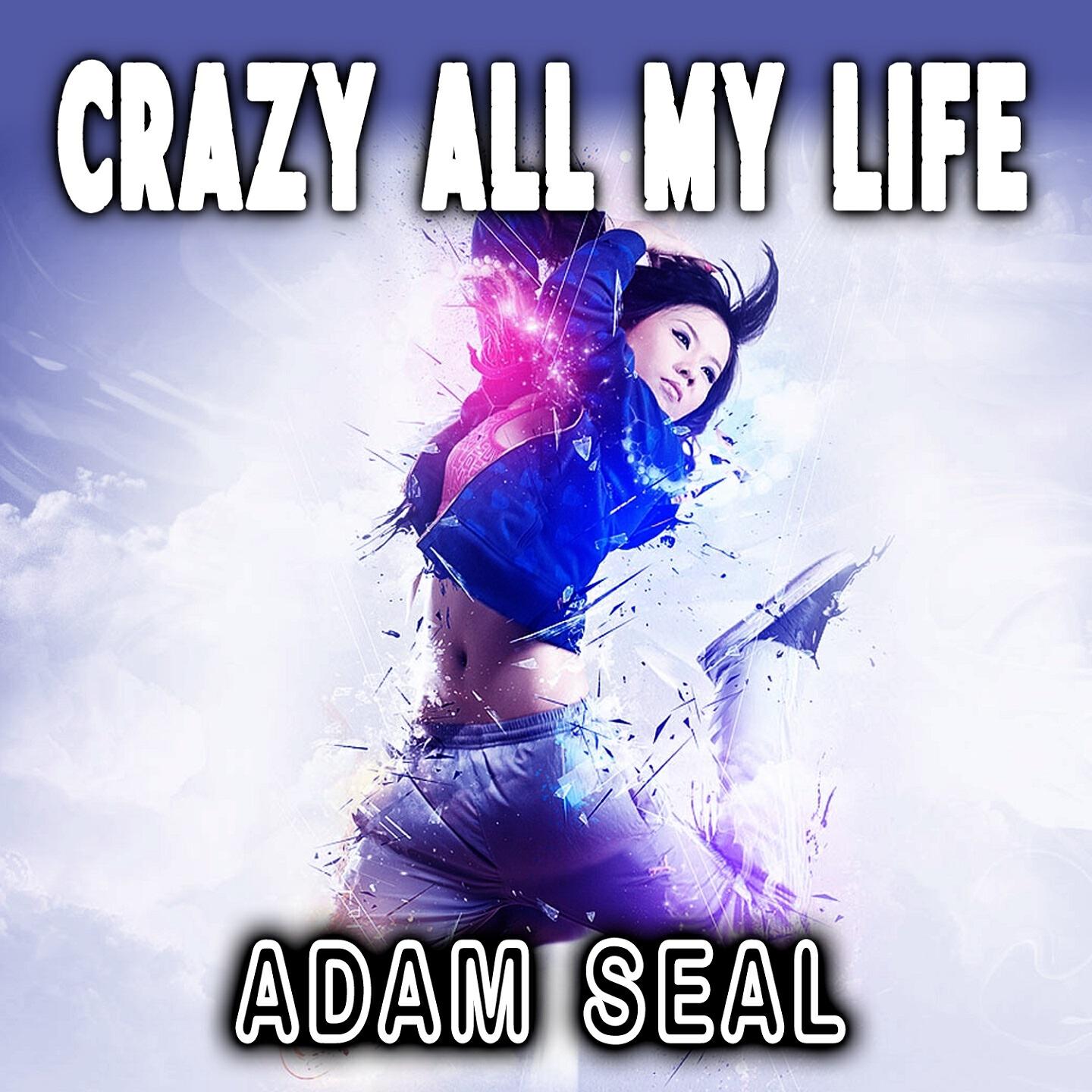 Adam Seal - Crazy All My Life (DJ Andy Club Mix)
