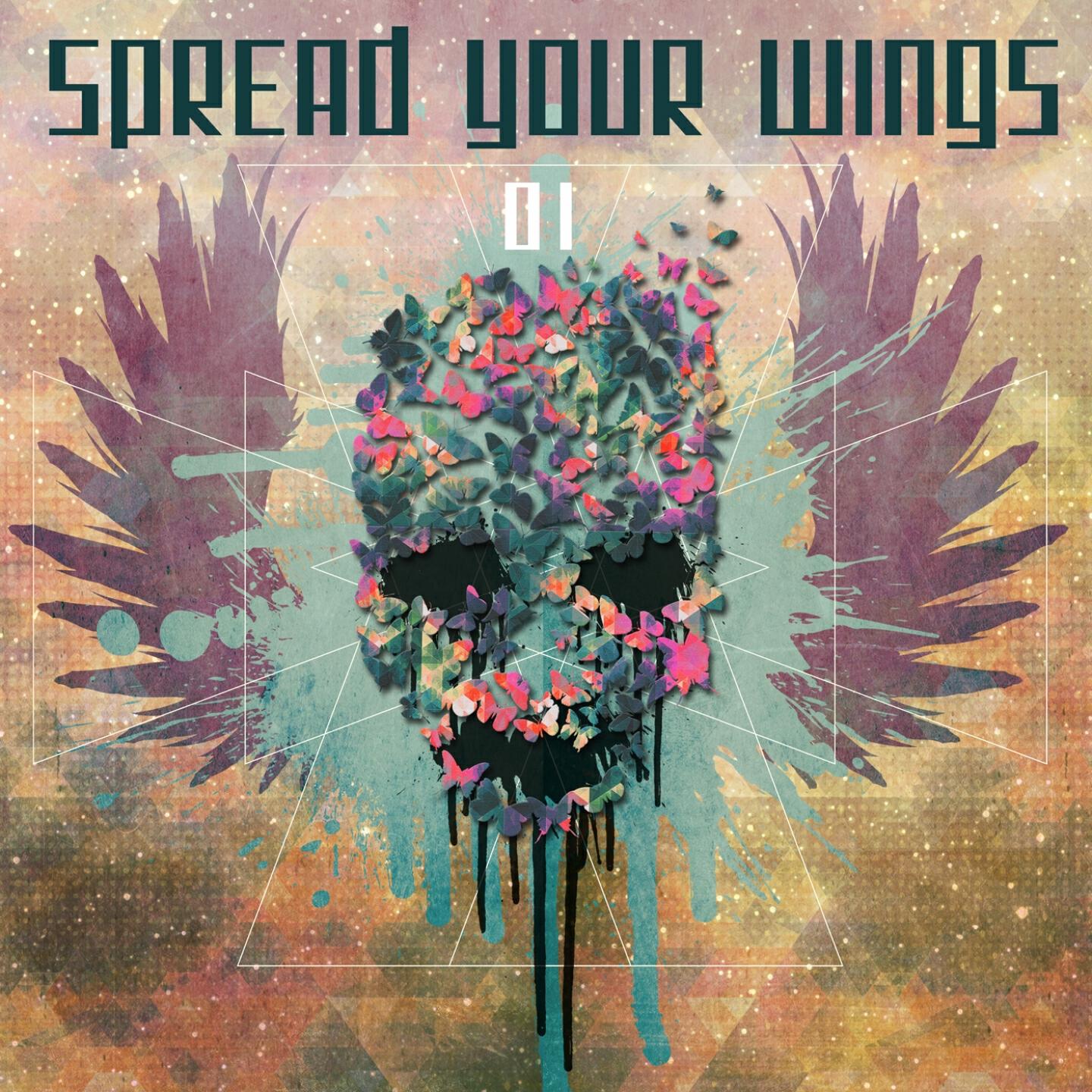 Eagles & Butterflies - Cosmic Disko