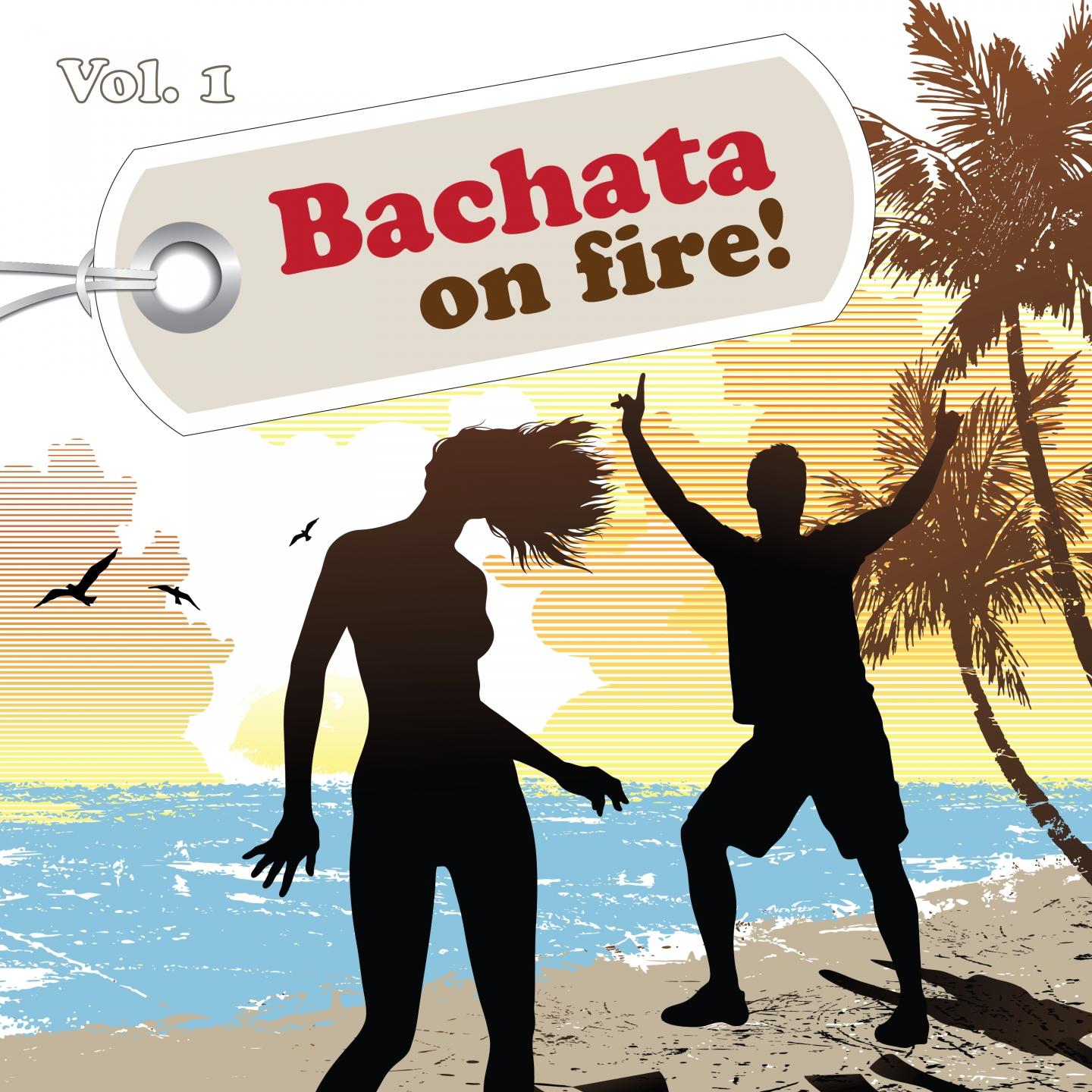 Постер альбома Bachata On Fire!, Vol. 1