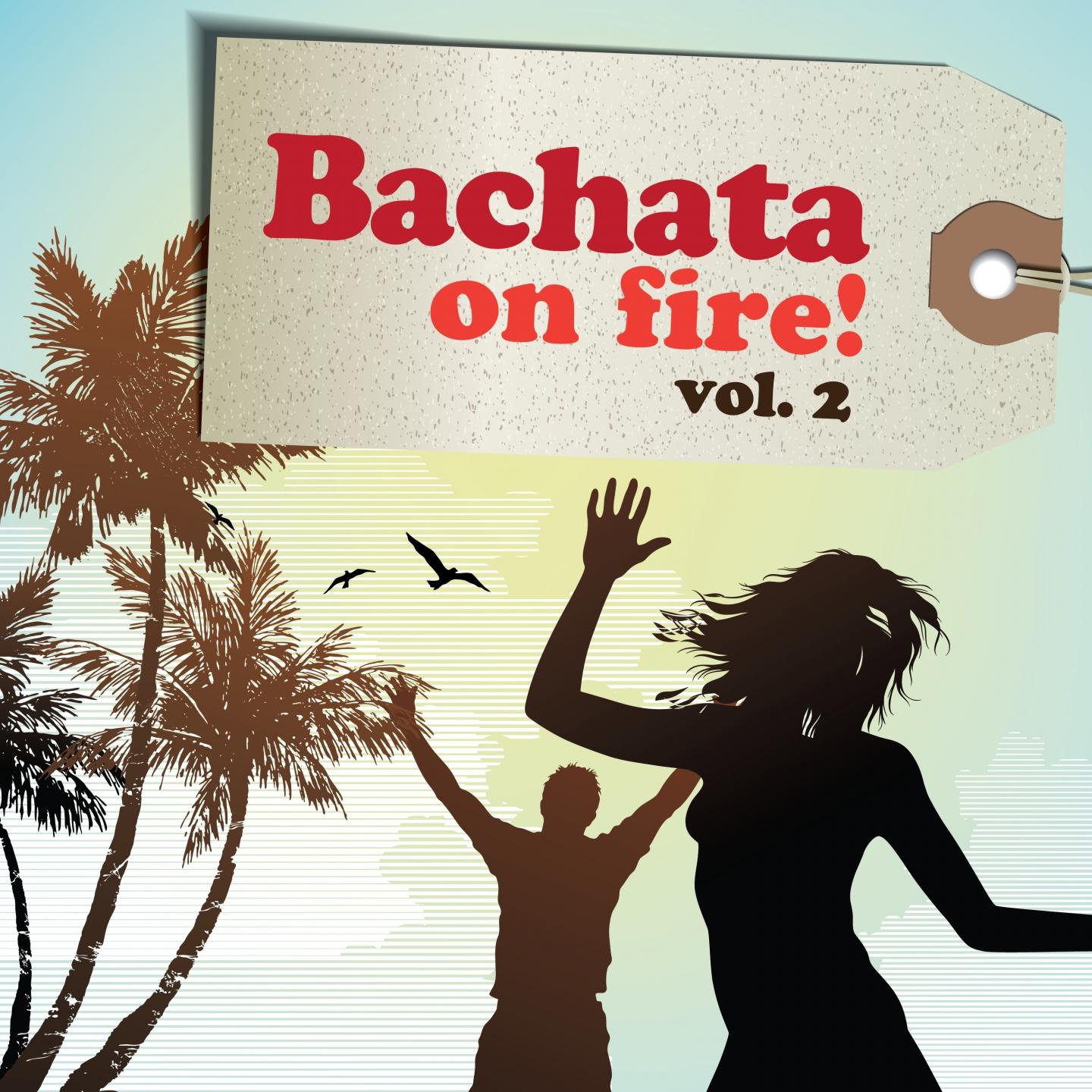 Постер альбома Bachata On Fire!, Vol. 2