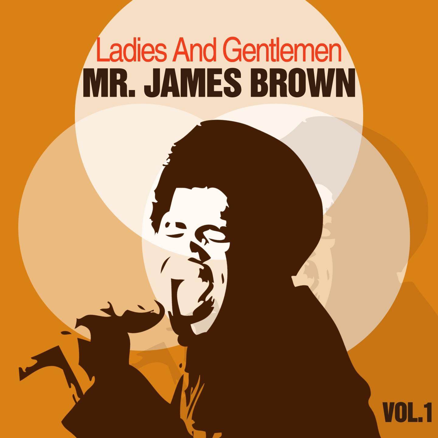 Постер альбома Ladies And Gentlemen Mr. James Brown, Vol. 1