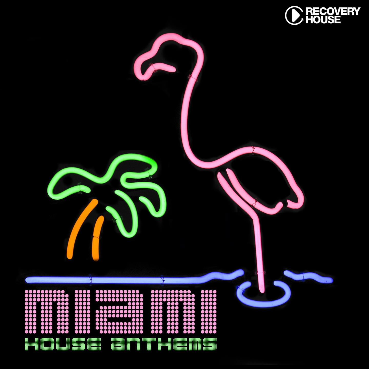 Постер альбома Miami House Anthems, Vol. 8