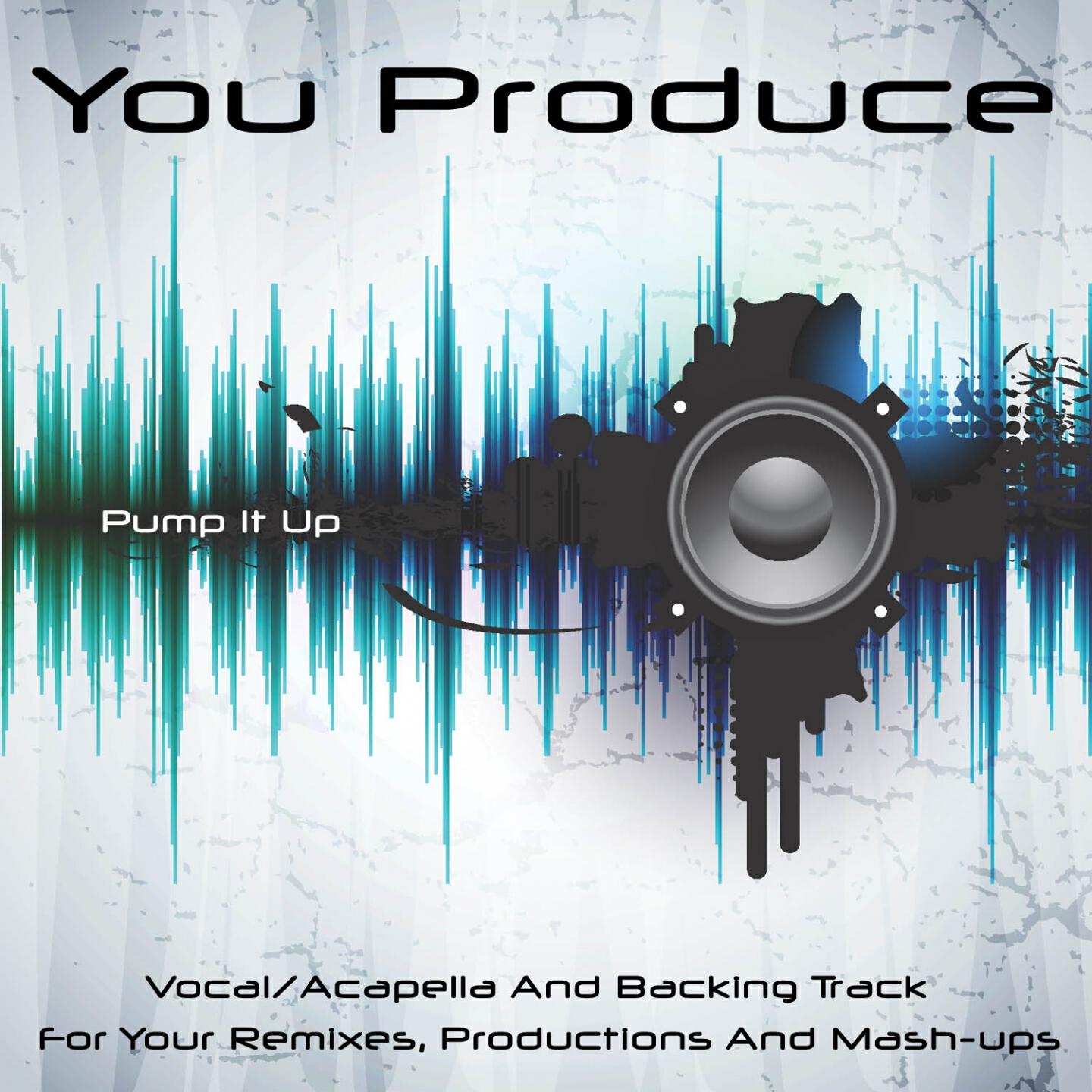 You Produce - Pump It Up (Backing Track) (In the Style of Danzel)