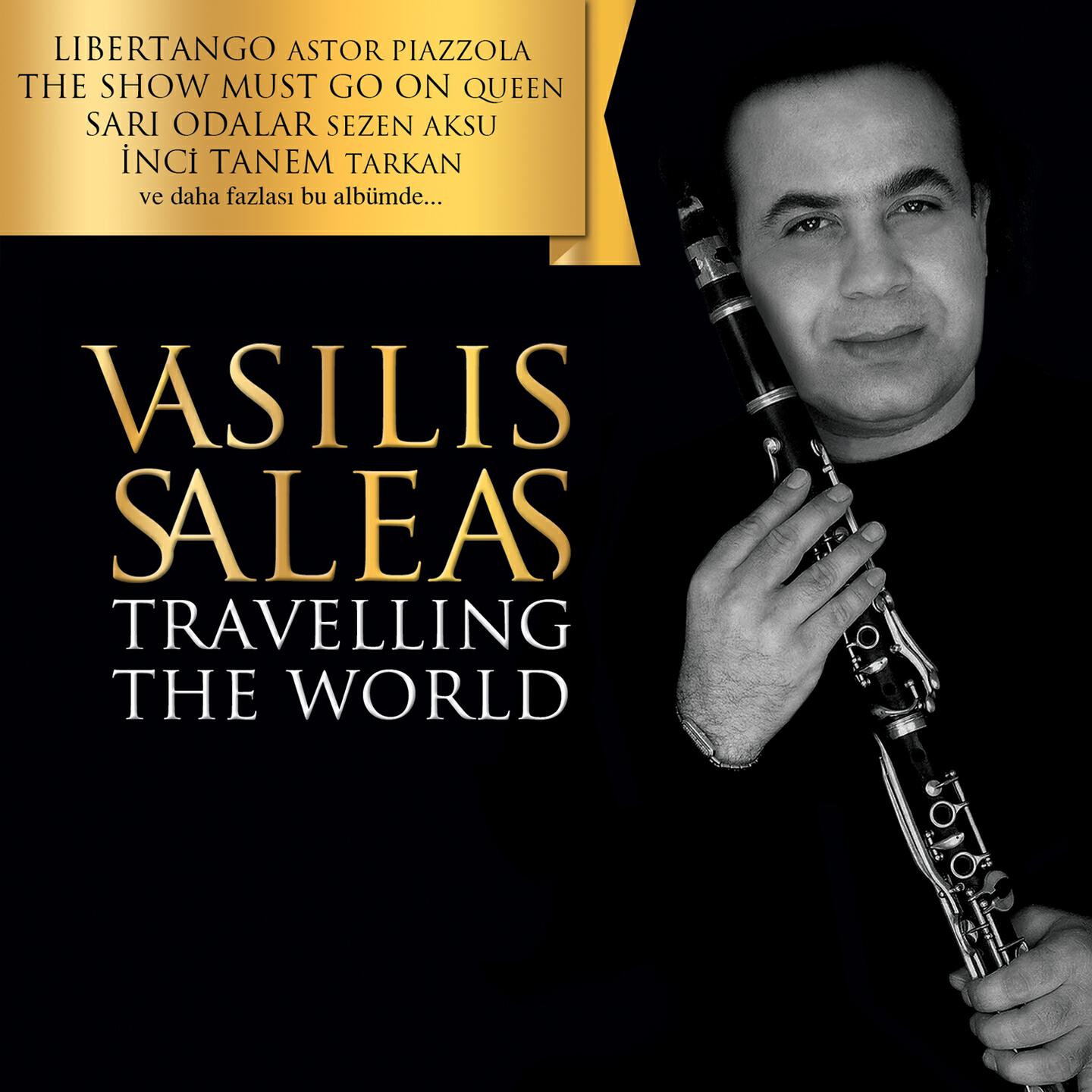 Vasilis Saleas - Sari Odalar