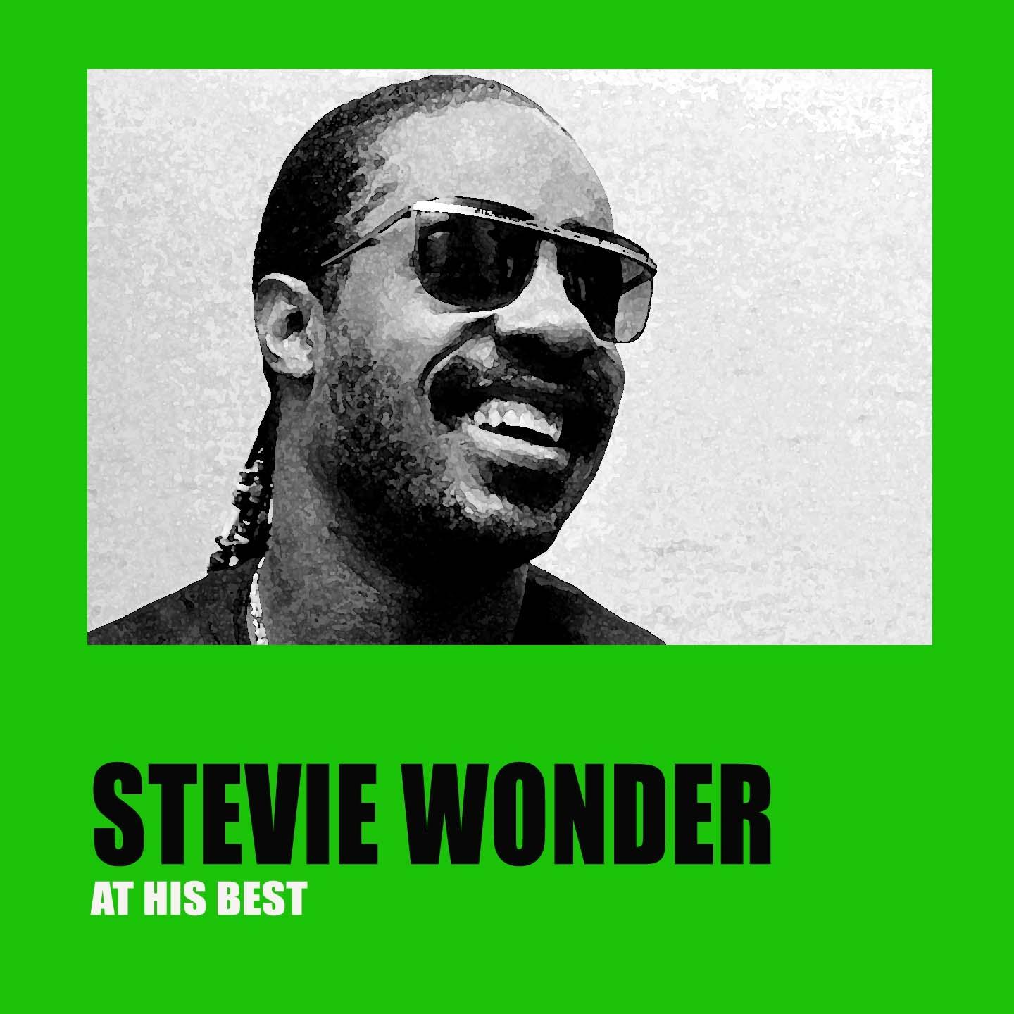 Постер альбома Stevie Wonder At His Best