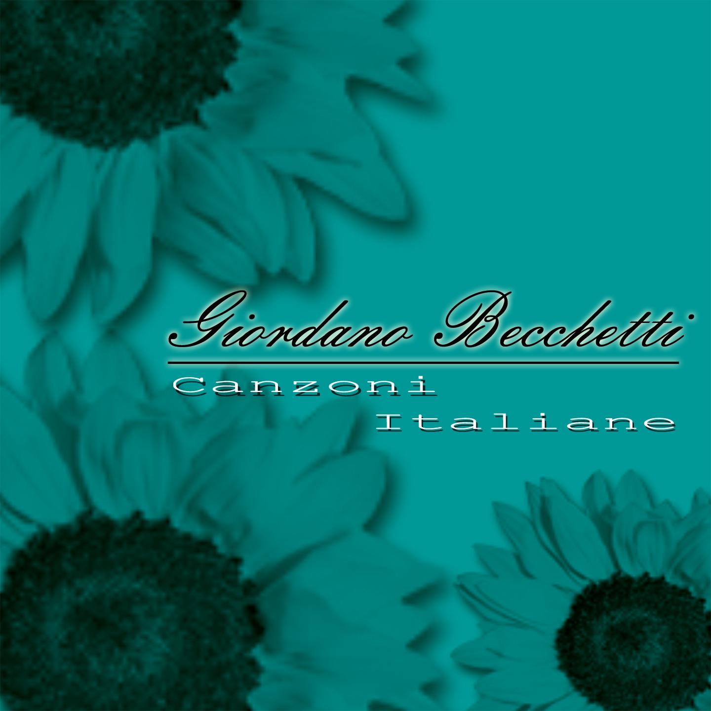 Постер альбома Canzoni italiane