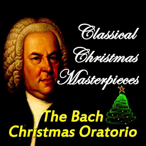 Munchener Bach-Orchester - Christmas Oratorio, Pt. 2, BWV 248: No. 10, Sinfonia