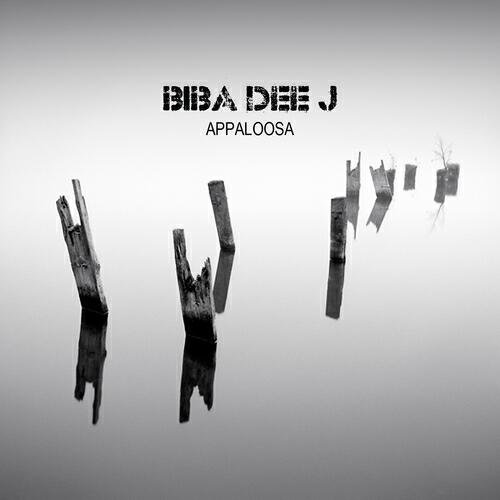 Biba Dee J - Appaloosa (Radio Edit)