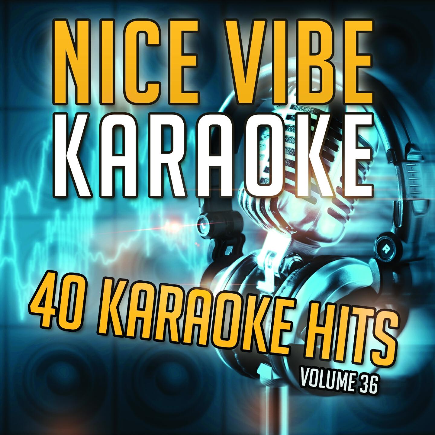 Nice Vibe - The Voice Within' (Karaoke Version) (Originally Performed By Christina Aguilera)