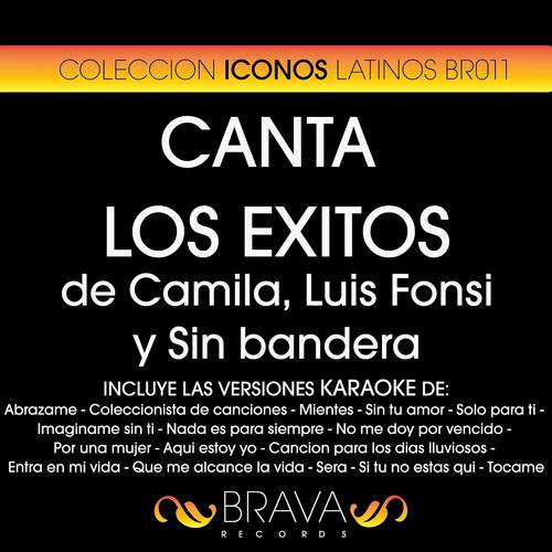 Постер альбома Canta los Exitos de Camila, Luis Fonsi y Sin Bandera