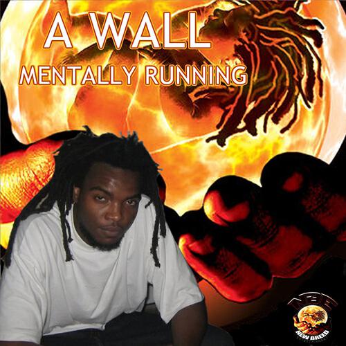 A Wall - Roll It Up